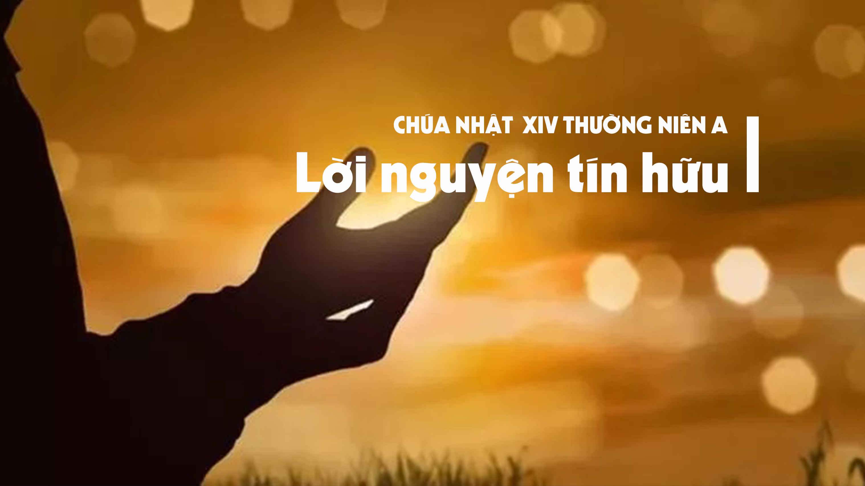Lời nguyện tín hữu - Chúa nhật XIV thường niên - năm A